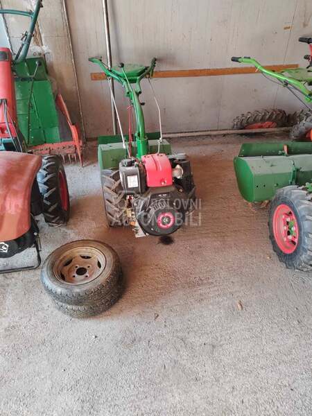 Goldoni 50 komada Ivanjica