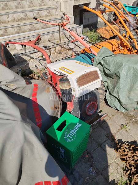 Goldoni 50 komada Ivanjica