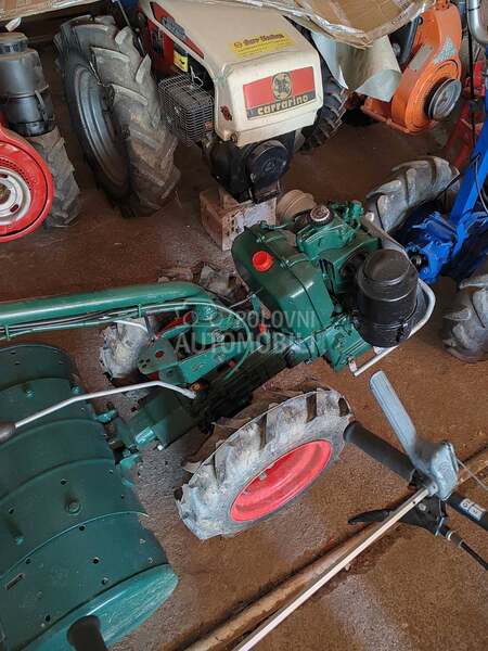 Goldoni 50 komada Ivanjica