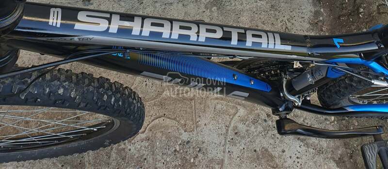 Bulls SHARPTAIL 1 27.5