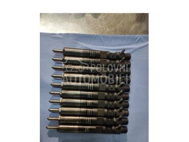 Reno dizne DELFI Kangu Clio za Renault Clio, Grand Scenic, Kangoo ... od 2002. do 2009. god.