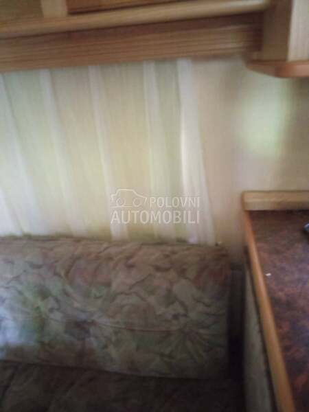 LMC Munsterland dominant