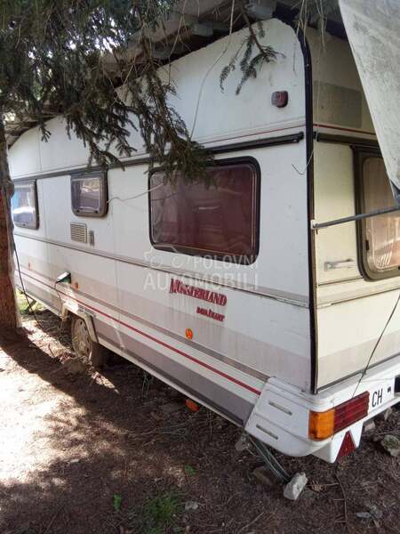 LMC Munsterland dominant