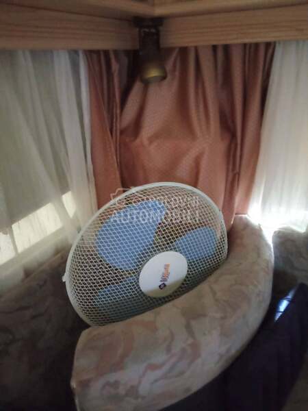 LMC Munsterland dominant