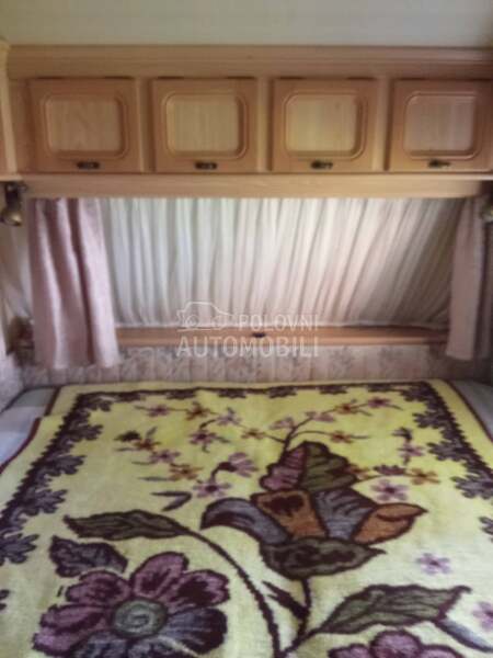 LMC Munsterland dominant