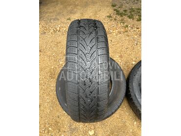 Platin Germany 185/65 R15 Zimska