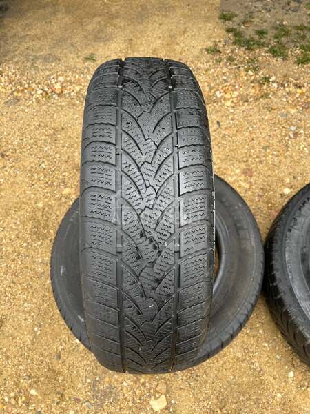 Platin Germany 185/65 R15 Zimska