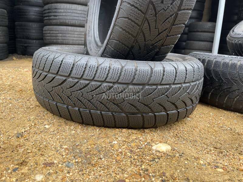Platin Germany 185/65 R15 Zimska