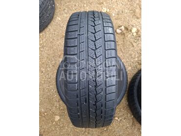 Nexen 195/65 R15 Zimska