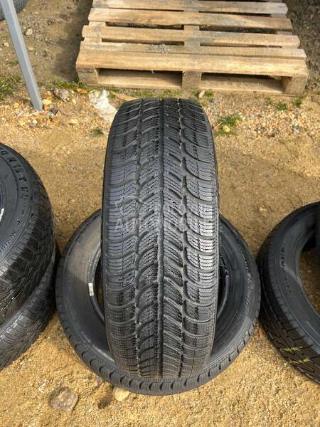 Sava 185/60 R15 Zimska