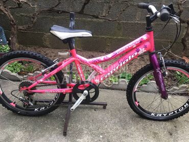 Capriolo Diavolo 200 Roze Lj 2