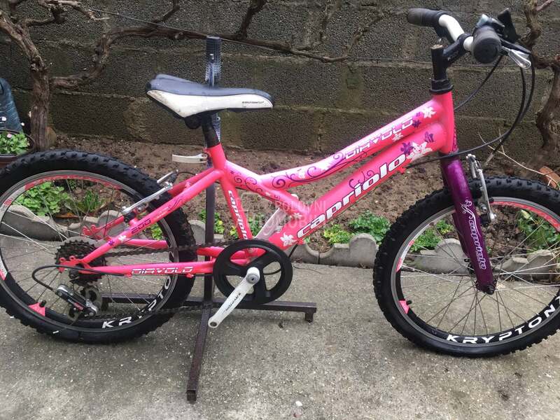 Capriolo Diavolo 200 Roze Lj 2