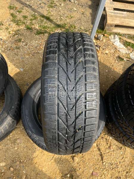 Toyo 195/55 R15 Zimska