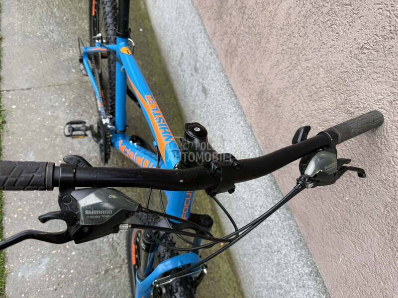 Focus Whistle 26er.