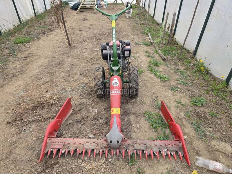 Goldoni Mali Goldoni