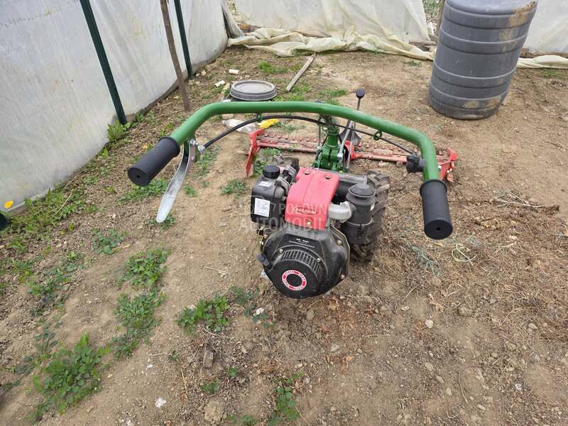 Goldoni Mali Goldoni