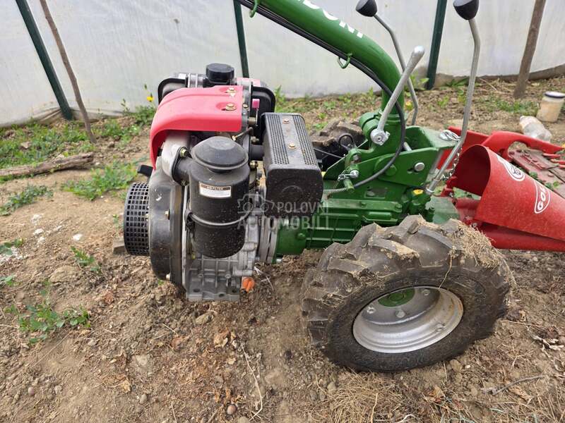 Goldoni Mali Goldoni