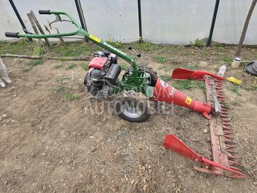 Goldoni Mali Goldoni