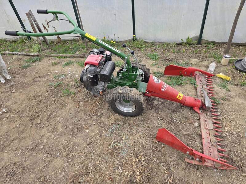 Goldoni Mali Goldoni