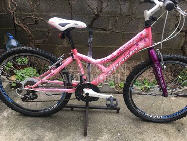 Capriolo Diavolo 240 Roze Ljub