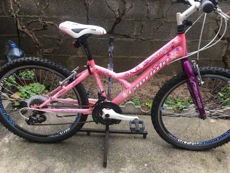 Capriolo Diavolo 240 Roze Ljub