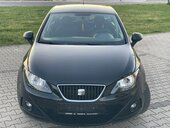 Seat Ibiza copa