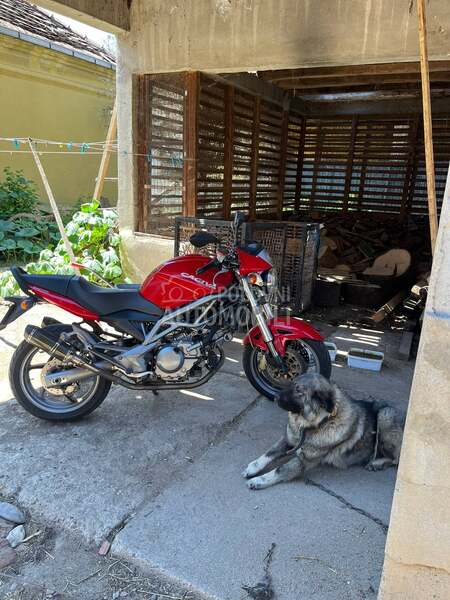 Cagiva raptor 650