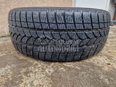 Tigar 225/50 R17 Zimska