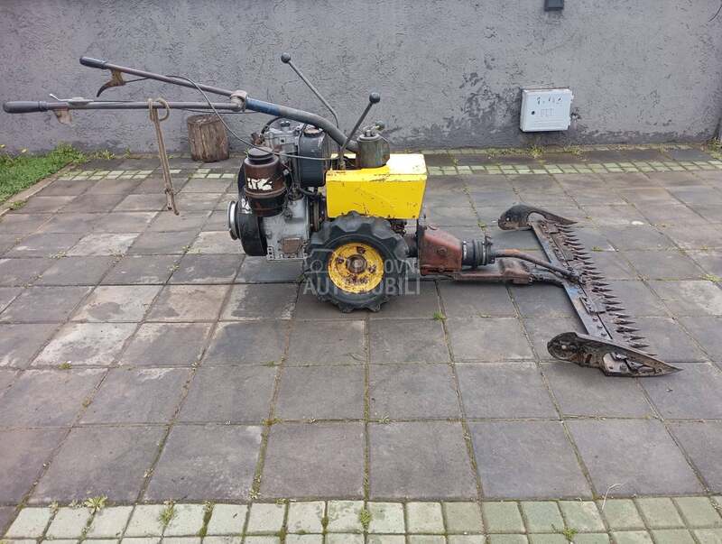 Muta Gorenje kosacica