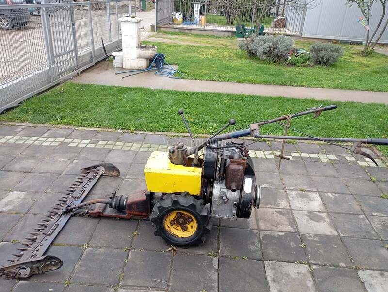 Muta Gorenje kosacica