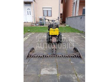 Muta Gorenje kosacica