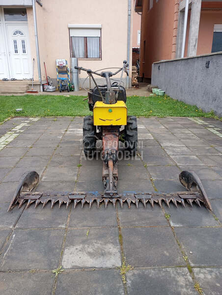 Muta Gorenje kosacica