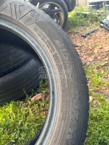 Viking 215/55 R17 Letnja