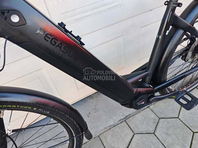 Pegasus Evo BOSCH CX SMART NOV