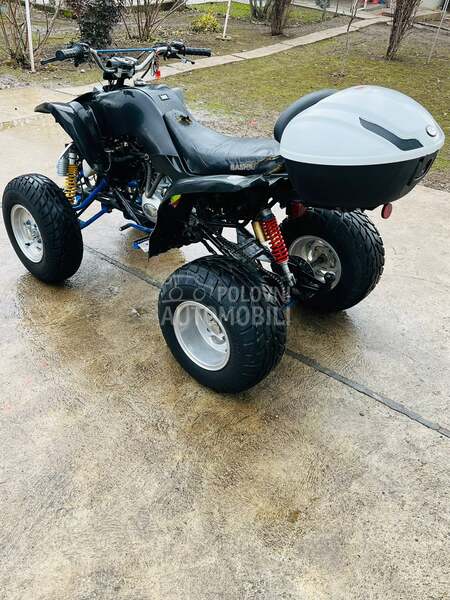 Bashan bashan sport 250