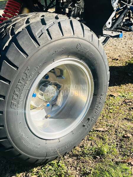 Bashan bashan sport 250