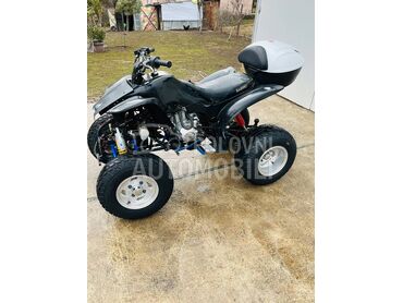 Bashan bashan sport 250