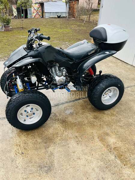 Bashan bashan sport 250