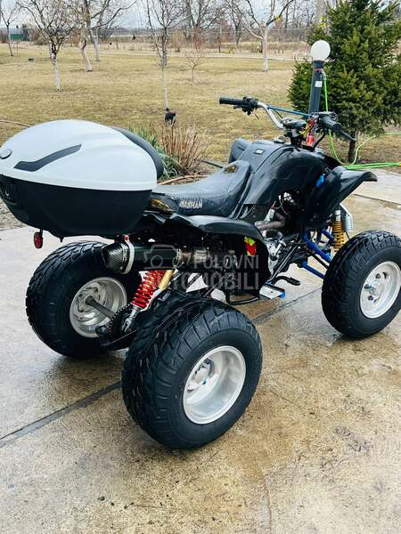 Bashan bashan sport 250