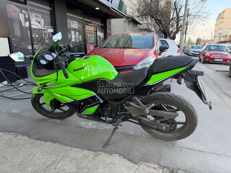 Kawasaki Ninja 250R