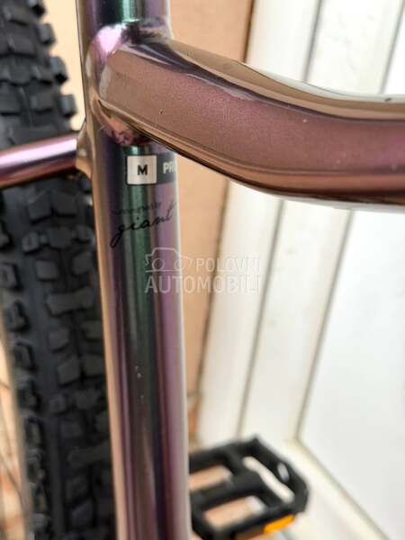 Giant Liv Mtb 2025