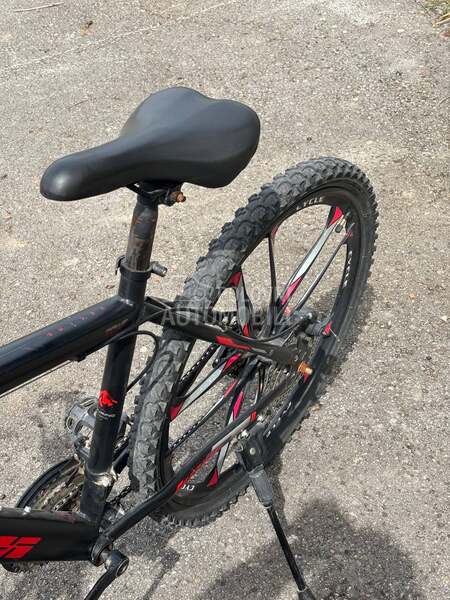 Adriatica 222