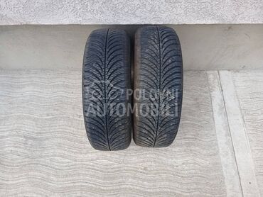 Goodyear 165/60 R14 Sve sezone