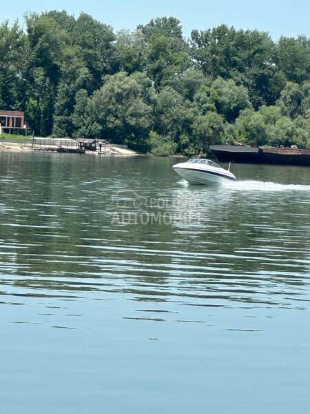 Bayliner 602 cuddy