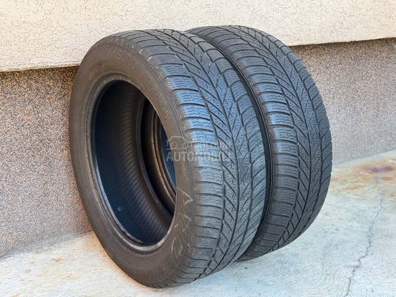 Gislaved 205/55 R16 Zimska