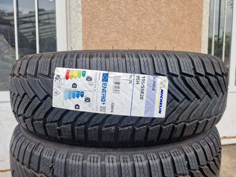 Michelin 195/55 R20 Zimska