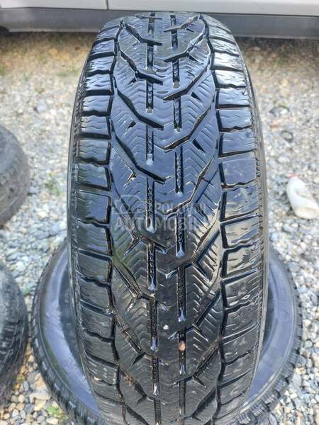 Tigar 185/65 R15 Sve sezone