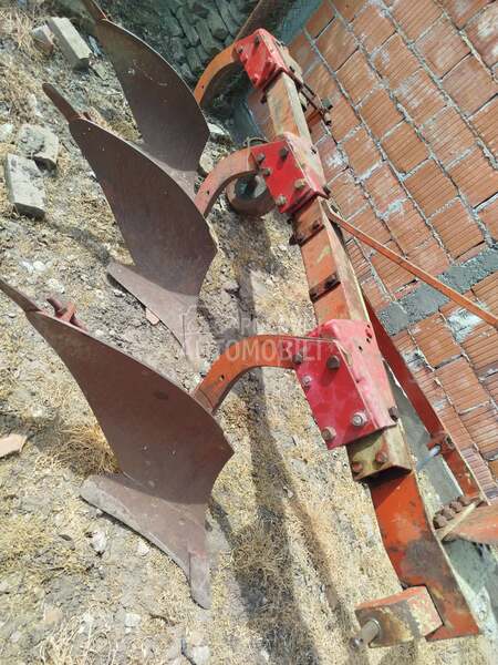 Vogel Noot L950