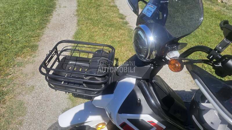 RATO apn 50