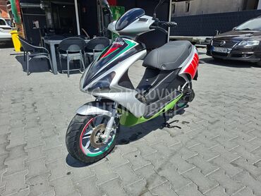 Benelli 491